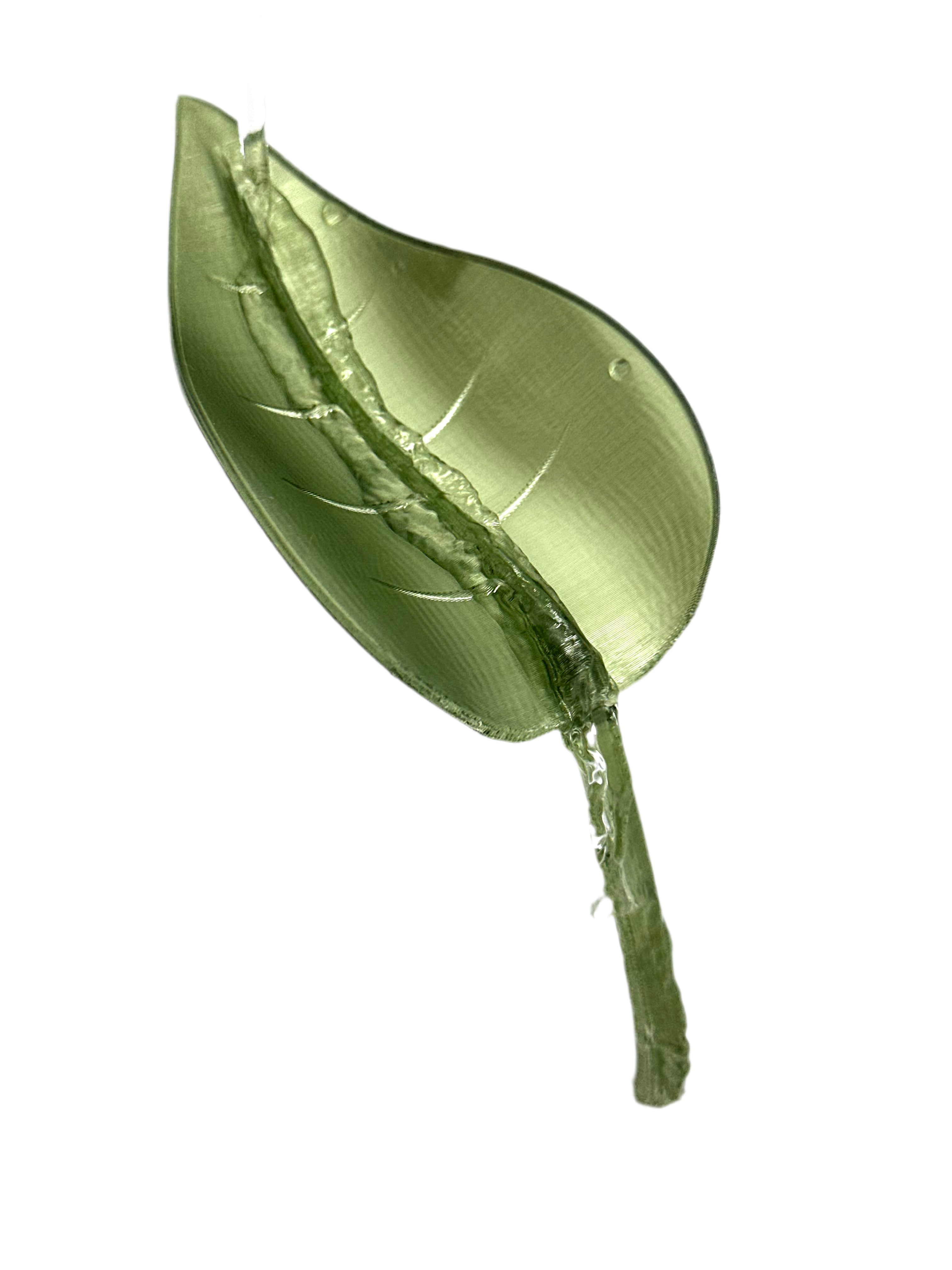 Vattna Enkelt - Löv