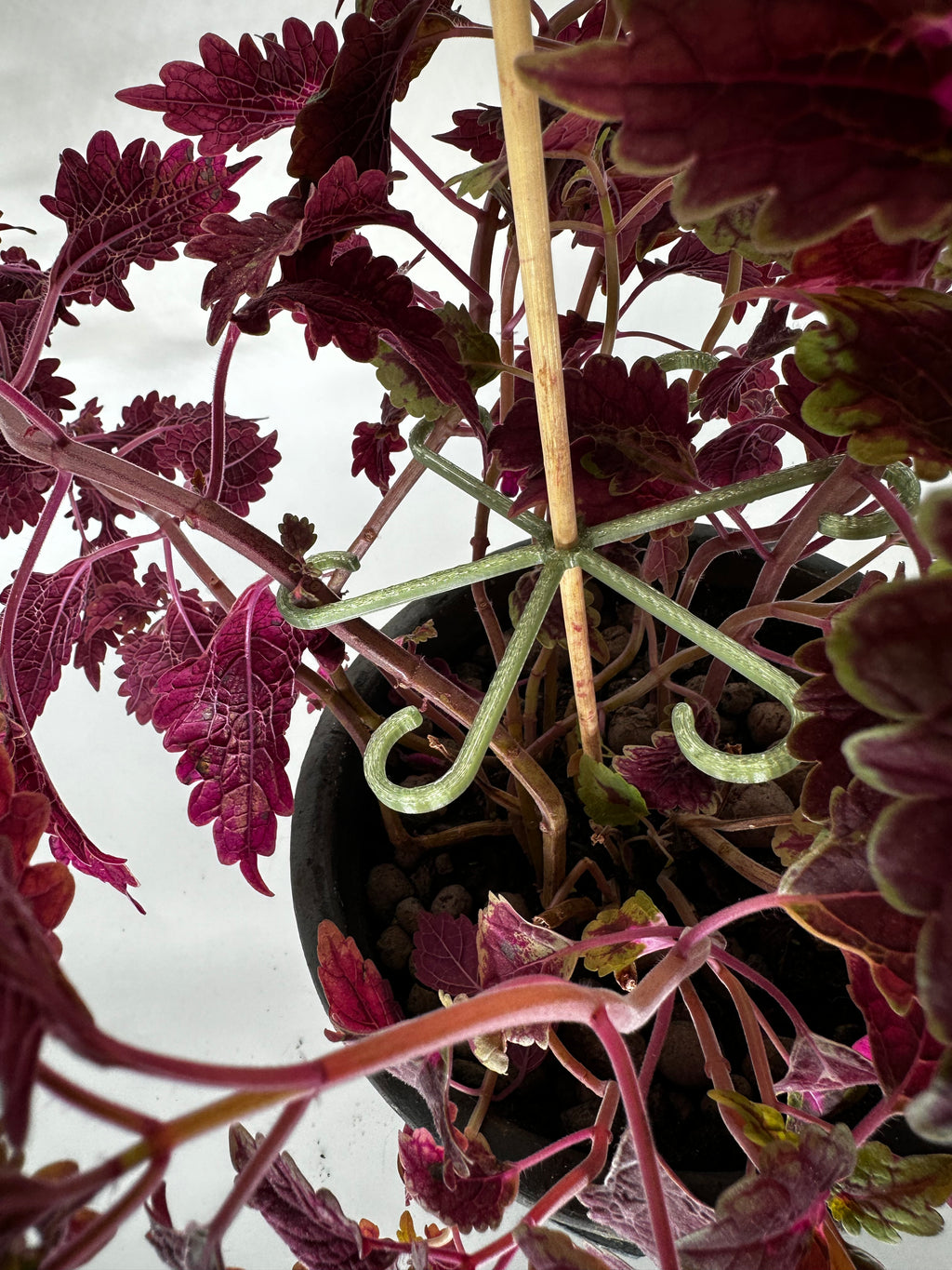 Vattna Enkelt - Krokar