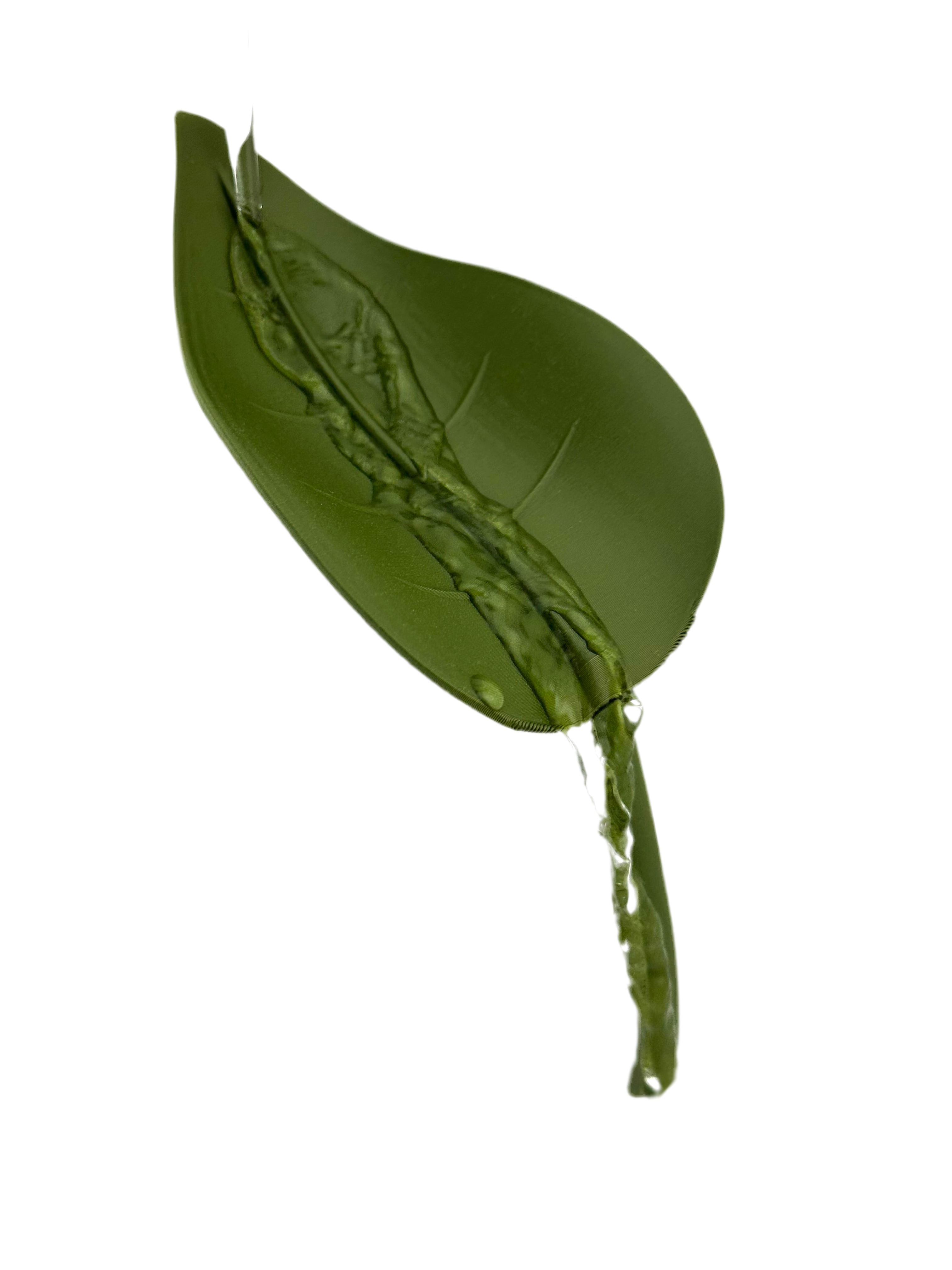 Vattna Enkelt - Löv